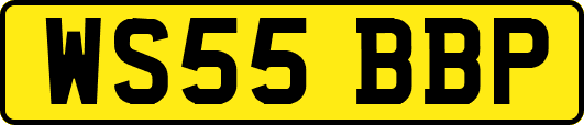 WS55BBP