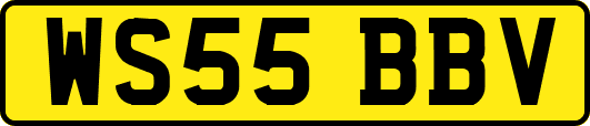 WS55BBV