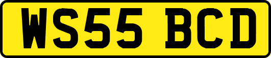 WS55BCD