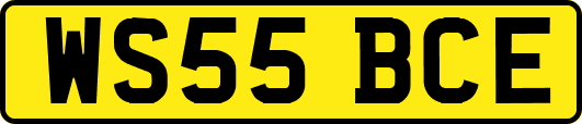WS55BCE