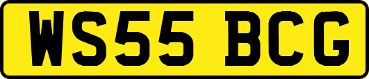 WS55BCG