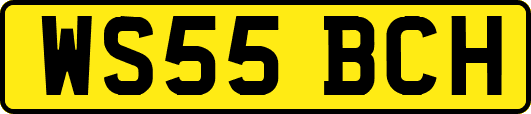 WS55BCH