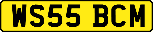 WS55BCM