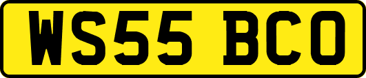 WS55BCO