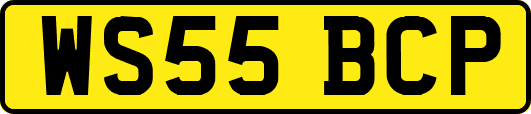 WS55BCP
