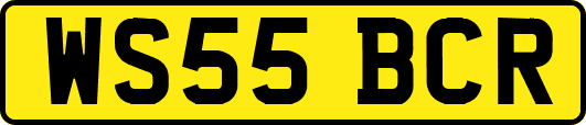 WS55BCR