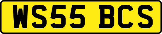 WS55BCS