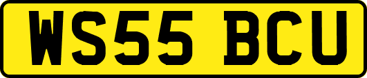 WS55BCU