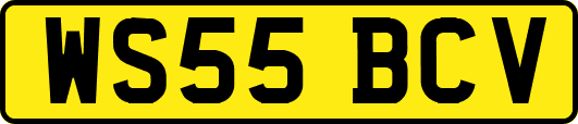 WS55BCV