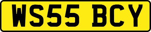 WS55BCY