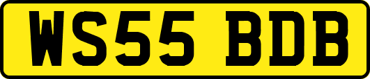 WS55BDB