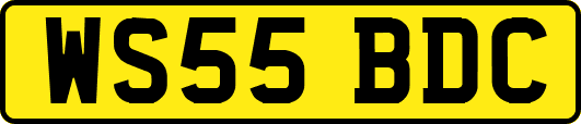 WS55BDC