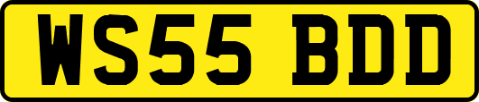 WS55BDD