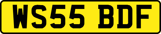 WS55BDF