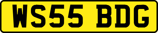WS55BDG