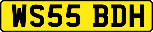WS55BDH
