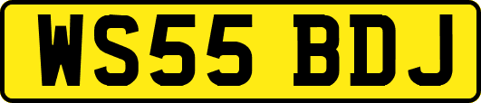 WS55BDJ