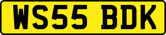WS55BDK