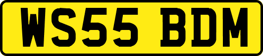 WS55BDM