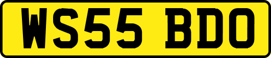WS55BDO