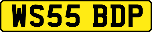 WS55BDP