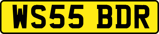WS55BDR