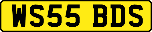 WS55BDS