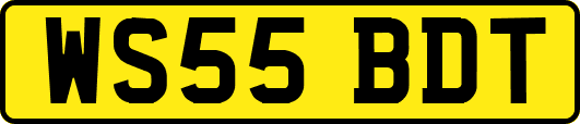 WS55BDT