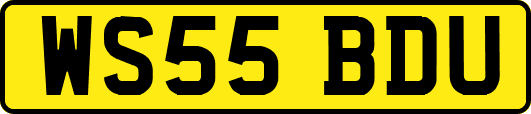 WS55BDU