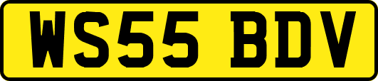 WS55BDV