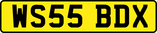 WS55BDX