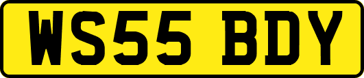 WS55BDY