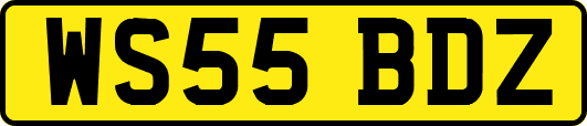 WS55BDZ