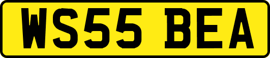 WS55BEA
