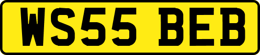 WS55BEB