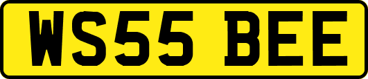 WS55BEE