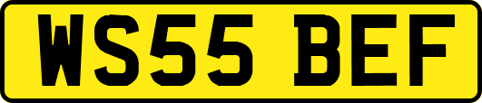 WS55BEF