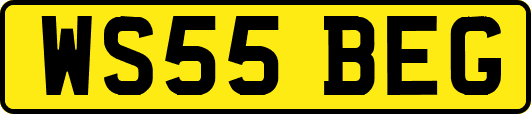 WS55BEG
