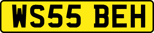 WS55BEH
