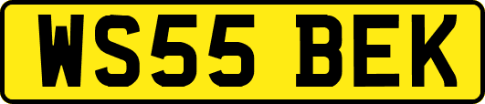 WS55BEK