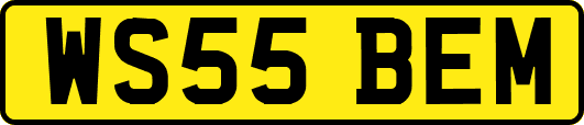 WS55BEM