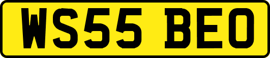 WS55BEO