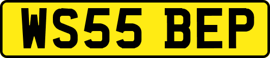 WS55BEP