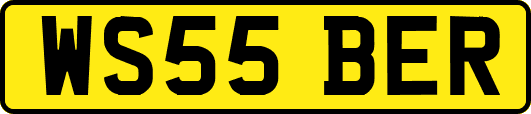 WS55BER