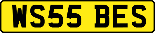 WS55BES