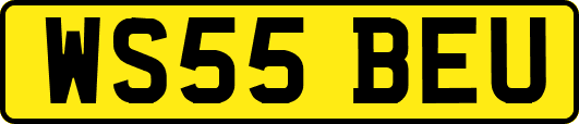 WS55BEU