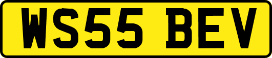 WS55BEV