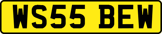 WS55BEW