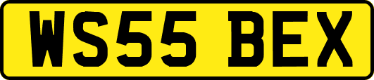WS55BEX