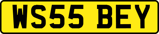 WS55BEY